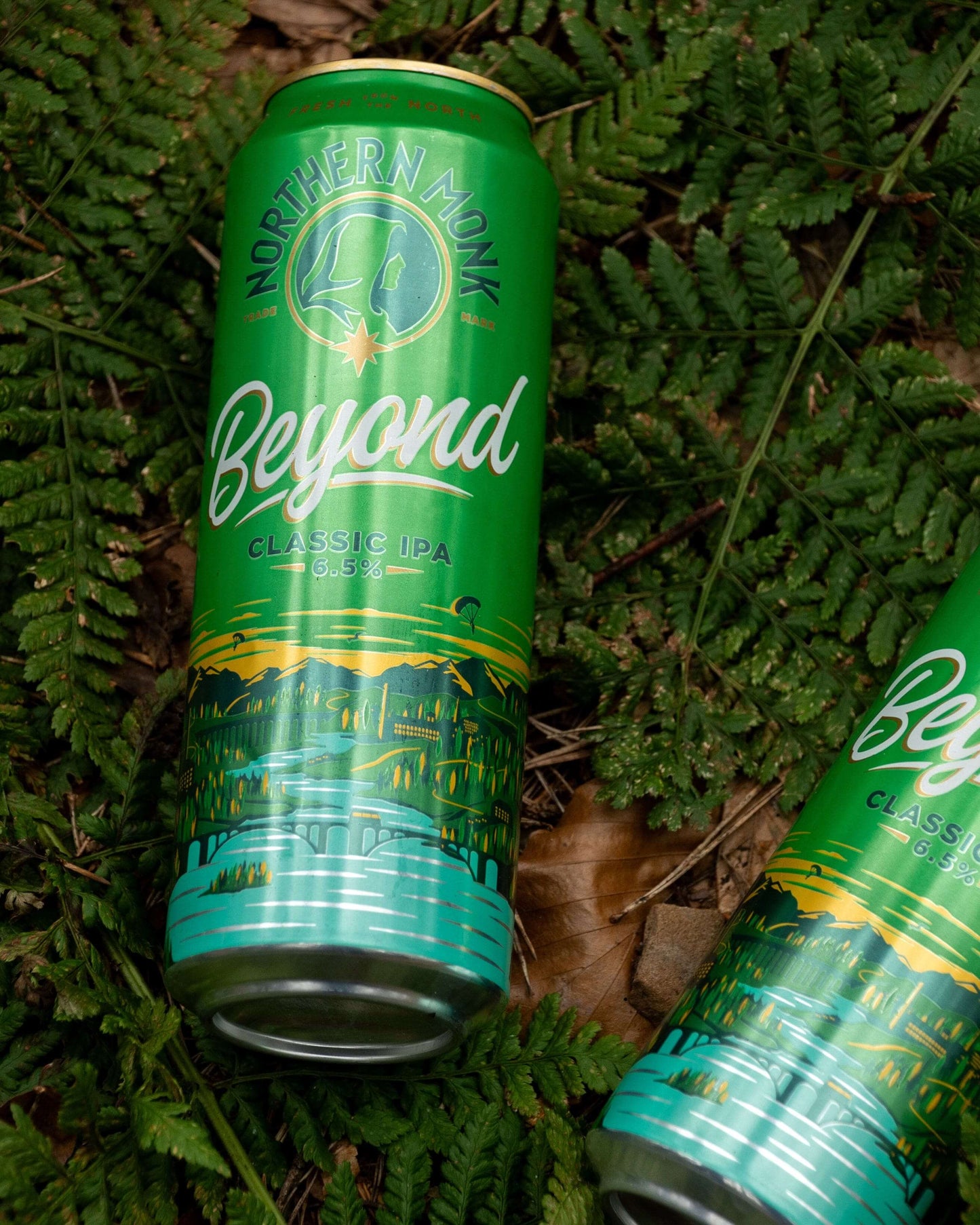 568ml BEYOND // CLASSIC IPA // 6.5%