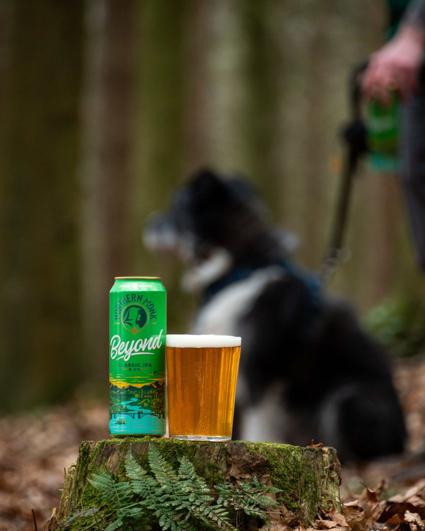 568ml BEYOND // CLASSIC IPA // 6.5%