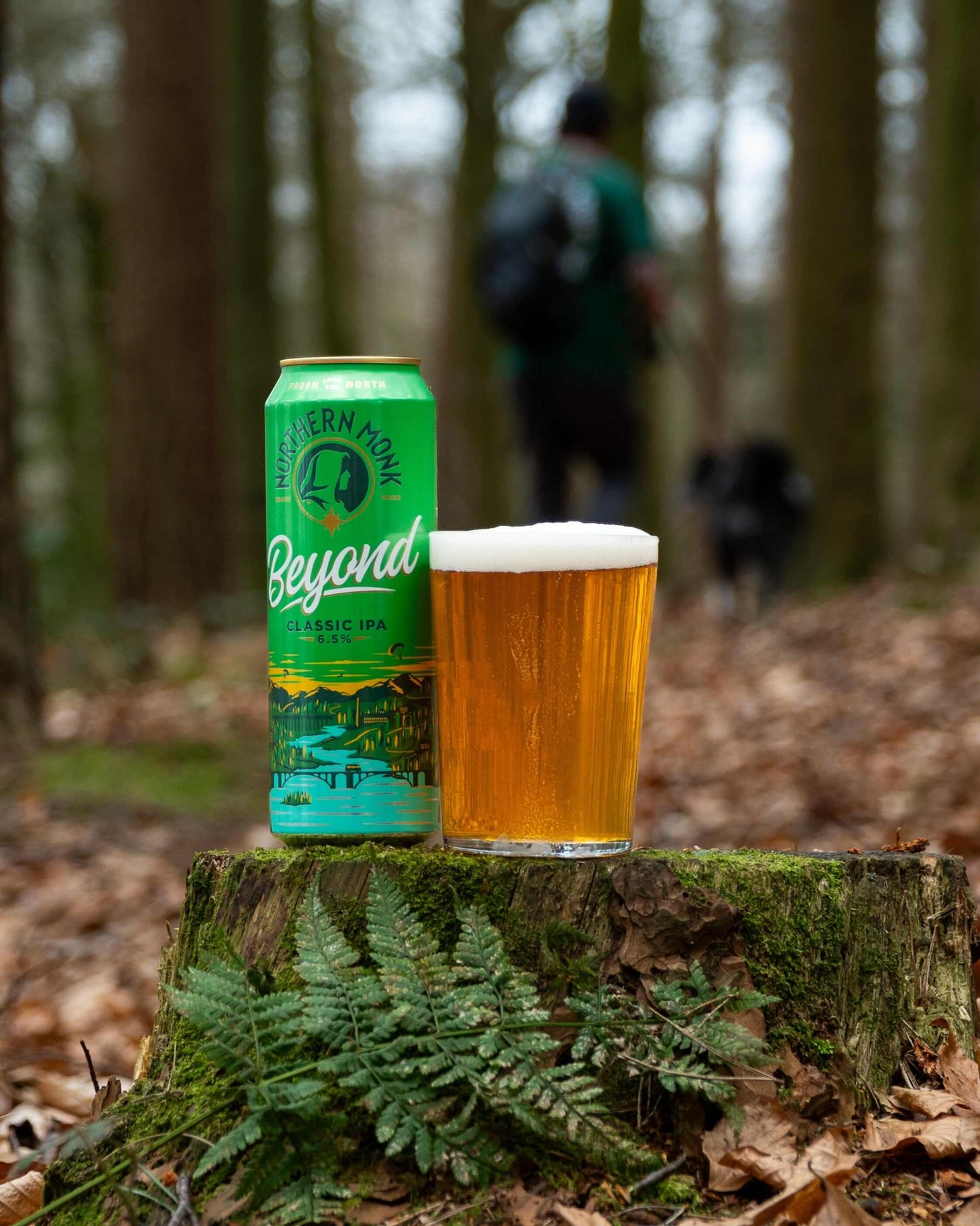568ml BEYOND // CLASSIC IPA // 6.5%